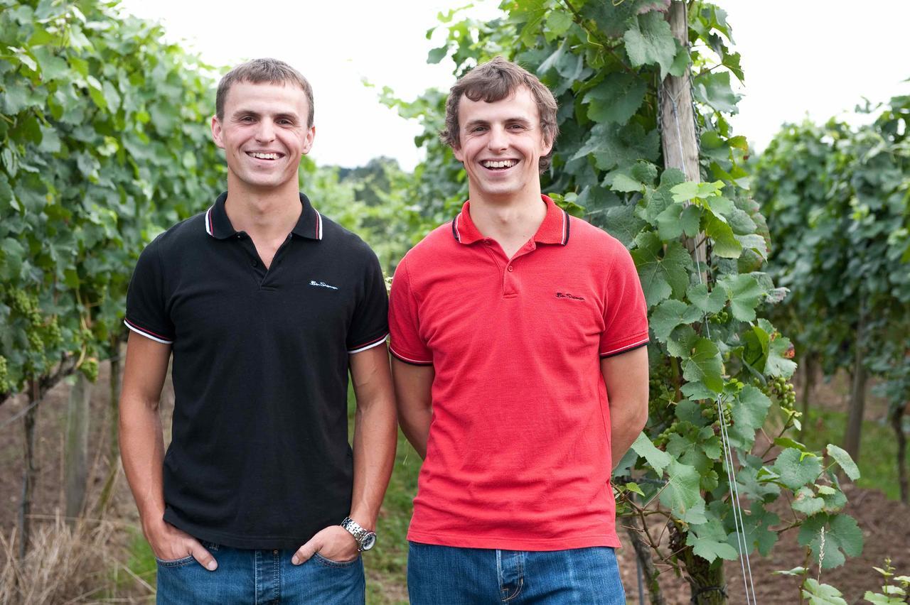 Felshof - Weingut & Gaestehaus 3* Sommerhausen